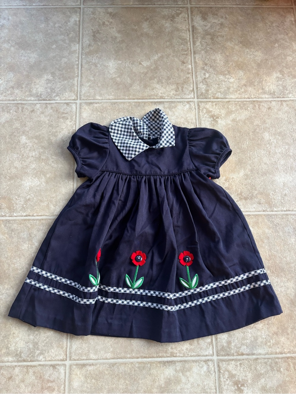 Rare Editions Navy Dress with Red Floral Embroidery and Gingham Collar